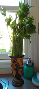Celery in a vase