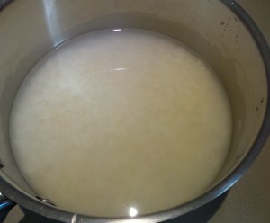 Water added to unwashed rice is cloudy.
