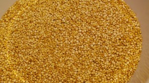Quinoa in the raw