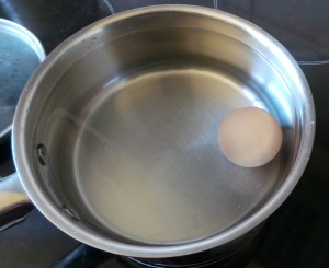 Cover your egg with coldish water