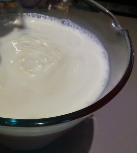 Introduce your culture mix to the rest of the milk and blend well.