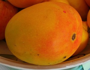 A gorgeously ripe, in-season mango.