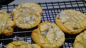 Coconut chocolate chink biscuits