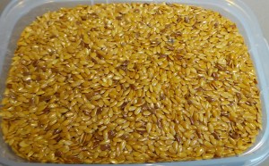 Golden Linseeds or Flaxseeds. 