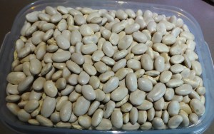 Navy Beans