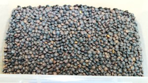 Black lentils.