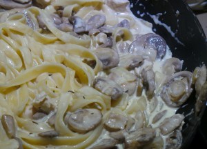 Mushroom Stroganoff
