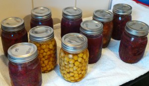 My first ever canning!