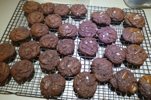 Chocolate biscuits.