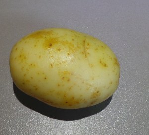 This is a potato.