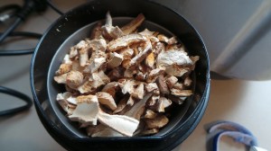 Dried Mushrooms.