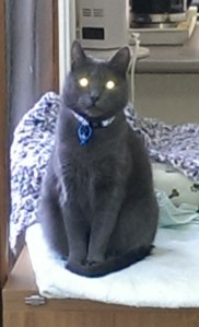 Oooh, too spooky for me!