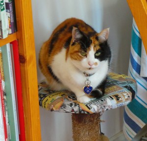 The ever-magnificent Miss Bella