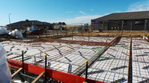 Some of the stuff that's been happening.